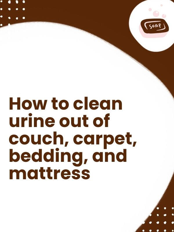 How to clean urine out of couch, carpet, bedding, and mattress with Lewy Body dementia incontinence