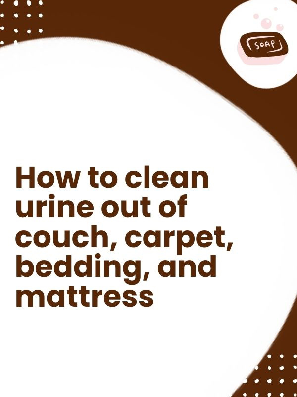 How to clean urine out of couch, carpet, bedding, and mattress